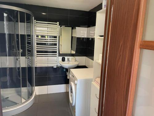 a small bathroom with a sink and a shower at Kawalerki w Śródmieściu 1 in Bydgoszcz