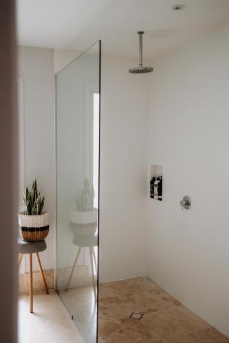 a glass shower in a room with a chair and a plant at Gorgeous 5 bedroom beach house. Dog/Kid Friendly. in Marcoola