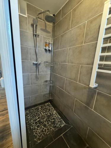y baño con ducha y puerta de cristal. en Appartement cosy, en Roussillon en Isère