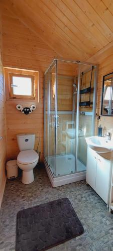 a bathroom with a shower and a toilet and a sink at Domki Pod Jaworem in Solina