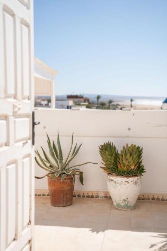 two potted plants sitting next to a white wall at Blue Kaouki Boutique Hotel in Sidi Kaouki