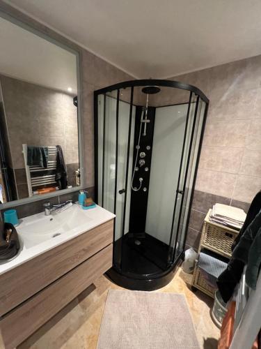 un bagno con doccia, lavandino e specchio di Couderc a Viviers