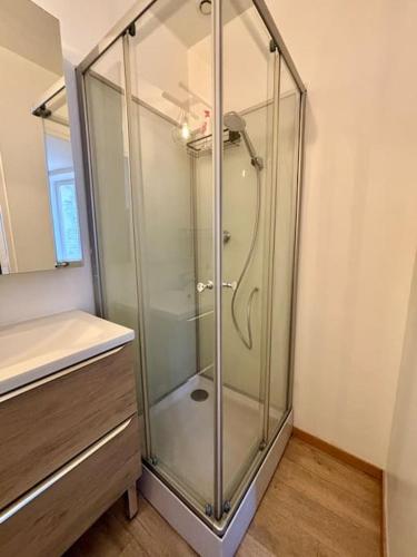 une douche avec une cabine en verre dans une salle de bain dans l'établissement Appartement idéalement situé au cœur de Dieppe, à Dieppe