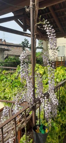 Сад в Il Giardino del Gallo
