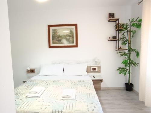 Dinamo EVOO apartments