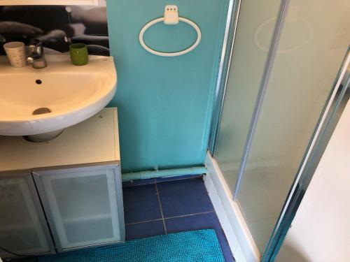 une salle de bain avec douche et lavabo dans l'établissement Rooftop Vue sur Paris Tour eiffel Cinq minutes du metro, à Villejuif