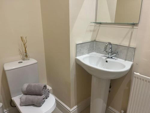 a bathroom with a sink and a toilet and a mirror at Thurnams House, Ground Floor Apt in Carlisle