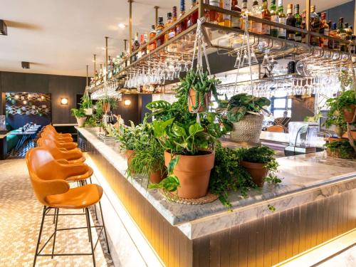 アムステルダムにあるソフィテル レジェンド ザ グランド アムステルダムのカウンターにたくさんの植物が置かれたバー