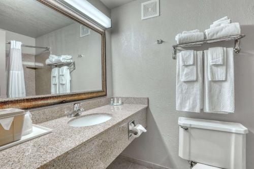 a bathroom with a sink and a mirror and a toilet at Quality Inn & Suites Downtown in Green Bay