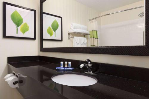 baño con lavabo negro y espejo en AmericInn by Wyndham Topeka en Topeka