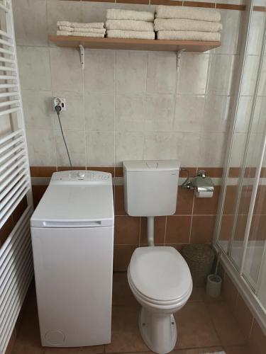 ein kleines Bad mit einem weißen WC und Handtüchern in der Unterkunft House-tanjevica in Kostanjevica na Krki