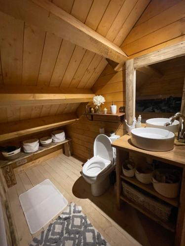 une salle de bain avec toilettes et lavabo dans l'établissement Chalet Station Puyvalador, à Puyvalador