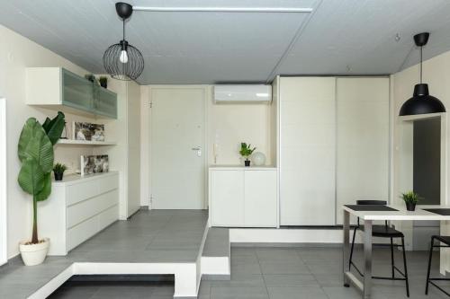 Kuchyň nebo kuchyňský kout v ubytování DeKo Penthouse Suite