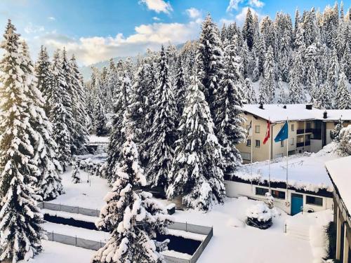 a snow covered forest with trees and a building at Modern LAAX apt, Swimming Pools, Wellness & Tennis in Laax