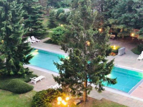 an overhead view of a swimming pool with a tree at Modern LAAX apt, Swimming Pools, Wellness & Tennis in Laax