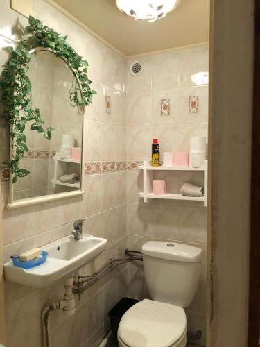 une salle de bain avec toilettes et lavabo dans l'établissement Yufan, à La Ville-du-Bois