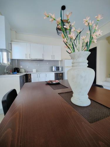 Elia Artemida Vacation Villa