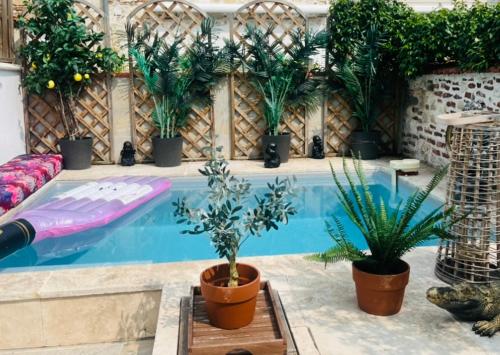 uma piscina com um monte de vasos de plantas ao lado em Maison JoSaRa Agen, logement de 1 à 4 chambres, piscine et rooftop, centre ville proche gare em Agen