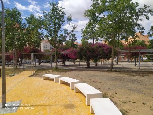 a row of white benches in a park at Estudio Palacio Congresos in Seville