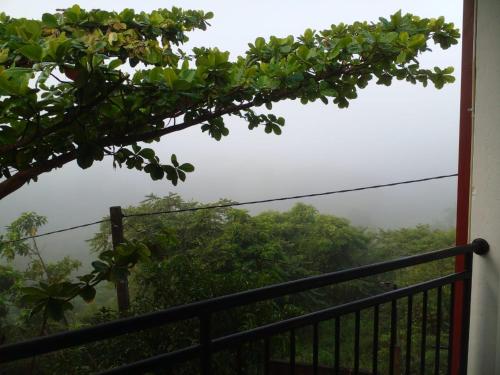 einen Blick vom Balkon aus auf den Regenwald in der Unterkunft Ananthaya -the infinity in Kalutara