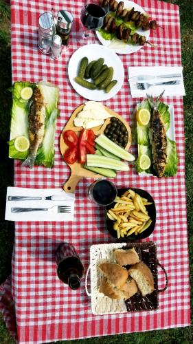 KomanにあるTwin Villas Komani Lakeの赤白チェック毛布の上に食べ物を入れたピクニックテーブル