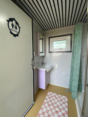 een kleine badkamer met een wastafel en een raam bij Tiny house Smûk in Tietjerk
