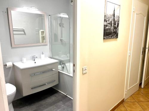 een badkamer met een wastafel, een toilet en een spiegel bij Chambre Privée en colocation dans un appartement Vaulx en Velin Centre in Vaulx-en-Velin