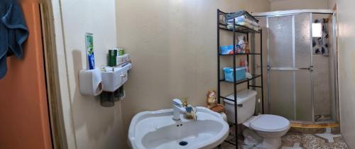 e bagno con lavandino, servizi igienici e doccia. di Immaculate 1-Bed Apartment in Kingston 14 a Kingston