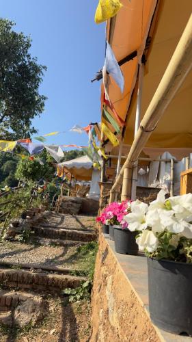 a group of flowers in pots on the side of a building at Ananta Prana in Mussoorie
