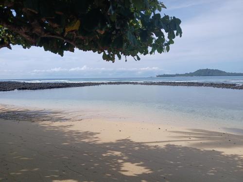 a beach with a body of water and trees at Big Mama's Little House Casa da Mãe Grande in Porto Alegre