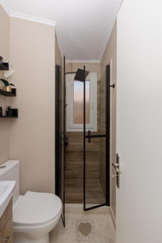 a bathroom with a toilet and a glass shower door at Mylarakia in Chios