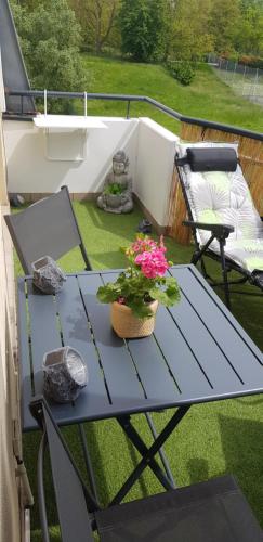 a blue table with a potted plant on a balcony at Green Field Lodge in Lingolsheim