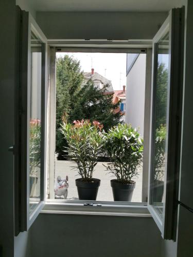 an open window with two potted plants on a window sill at Chambre dans appartement in Colmar