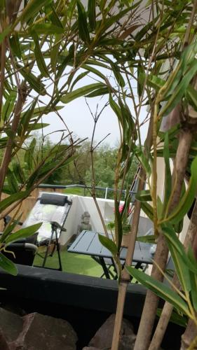 un patio con mesa, sillas y plantas en Green Field Lodge, en Lingolsheim