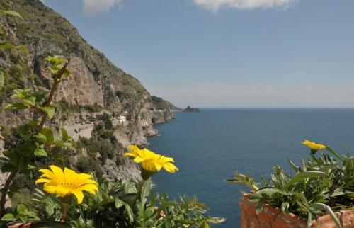 プライアーノにあるVilla Benedettaの黄色い花の崖から海を望む