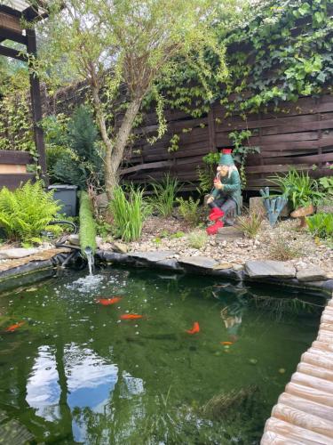 a garden with a koi pond with a gnome and a fish at Chata Olomouc Tovéř in Tovéř