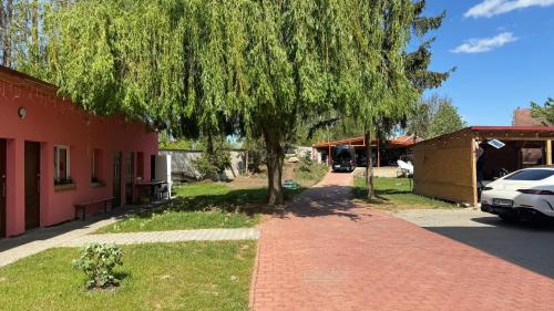 a tree next to a house with a driveway at 布拉格城堡公寓 in Rudná