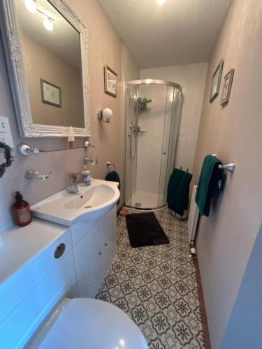 a bathroom with a sink and a toilet and a shower at The Guest suite at Daviot ,Inverness in Inverness