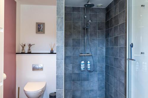 een badkamer met een douche en een toilet bij Cozy Apartment Stevns in Store Heddinge
