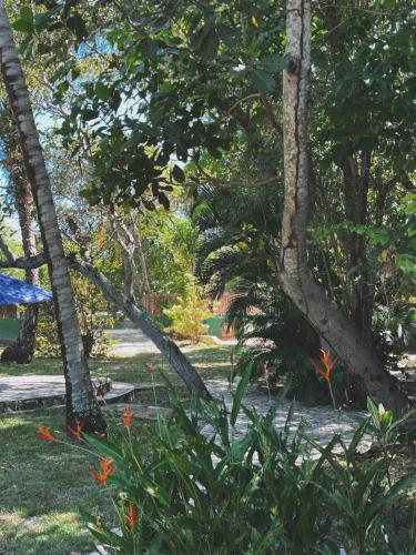 a garden with trees and flowers in a park at MangoBrazil in Imbassai