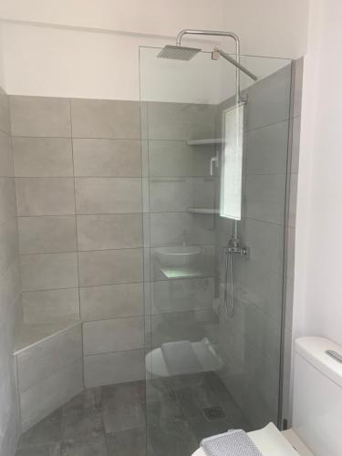 una ducha con puerta de cristal en un baño en Asimenia Studio, en Stoupa