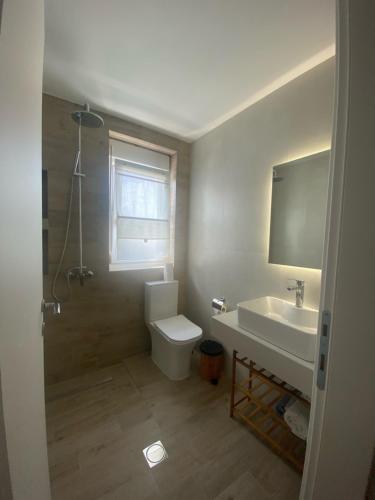 a bathroom with a toilet and a sink at Milos Apartments in Afitos