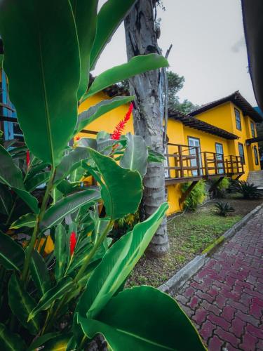a yellow house with a tree in front of it at Pousada Éden in Angra dos Reis