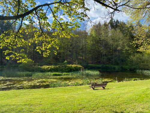 a park bench sitting in the grass next to a pond at Pension Liesbachtal direkt am Waldrand Bayerische Rhön in Schönau an der Brend