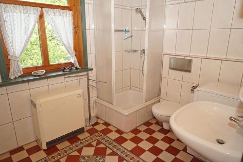 a bathroom with a toilet and a shower and a sink at Ferienhaus mit viel Platz in Strandnaehe in Damp