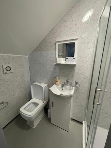 マンチェスターにあるLuxurious En-Suite Room 6のトイレと洗面台のある小さなバスルーム