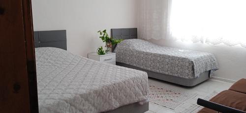 een slaapkamer met 2 bedden en een raam bij Demirtepe Konuk Evi in Gelibolu