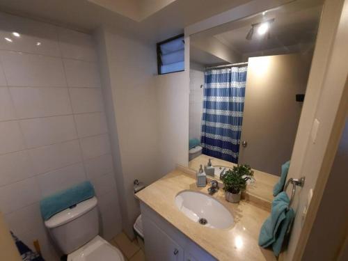 a bathroom with a sink and a toilet and a mirror at Departamento SUR, tu hogar, tu espacio in Santiago