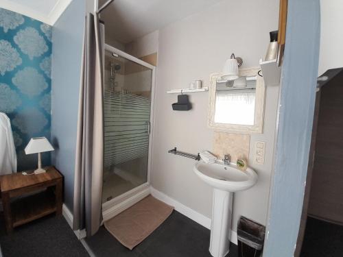 uma casa de banho com um lavatório e um chuveiro em Juliette's em Ypres