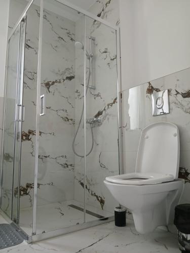 a bathroom with a toilet and a glass shower at Forest View in Câmpulung Moldovenesc
